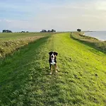 Thees * Ummanz