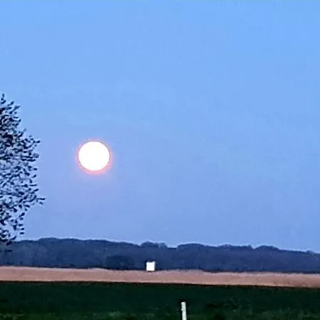 Thees * Ummanz